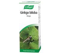 A. Vogel Ginkgo Biloba Drops – Extract from Fresh Leaves – Vegan – 50 ml