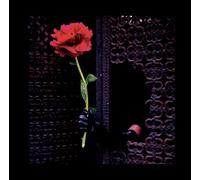 (A)Void Love [VINYL]