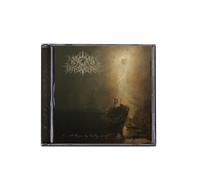 A Wake in Providence - I Write To You, My Darling Decay