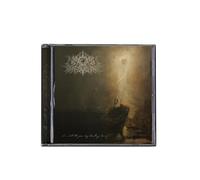 A Wake in Providence - I Write To You, My Darling Decay