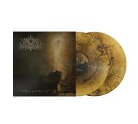 A Wake in Providence - I Write To You, My Darling Decay [VINYL]