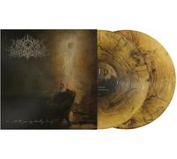 A Wake in Providence - I Write To You, My Darling Decay [VINYL]