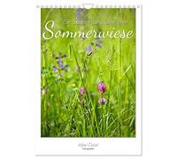 A walk across a summer meadow UK-Version (Wall Calendar 2026 DIN A4 Portrait), CALVENDO 12 Month Wall Calendar