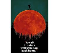 A Walk in Nature Walks The Soul Aluminum Signs Funny Tin Sign Metal Art Poster Gift Home Cafe Bar Wall Decor Room Door Accessories 12"X16"