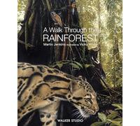 A Walk Through the Rainforest