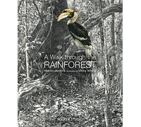 A Walk Through the Rainforest (Walker Studio)