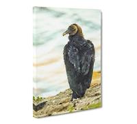 A Watchful Vulture Canvas Print | Gallery Wrapped 30mm Frame Wall Art | 24x16 inches | Ready to Hang | Modern Picture | Living Room Bedroom Lounge Office