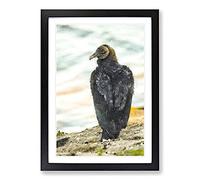 A Watchful Vulture Painting Framed Print | A2 Black Framed Wall Art | Ready to Hang | Modern Historical Picture | Living Room Bedroom Lounge Office
