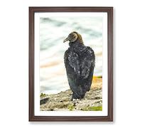 A Watchful Vulture Painting Framed Print | A2 Walnut Framed Wall Art | Ready to Hang | Modern Historical Picture | Living Room Bedroom Lounge Office