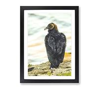 A Watchful Vulture Painting Modern Framed Print | A2 Black Framed Wall Art | Ready to Hang | Modern Historical Picture | Living Room Bedroom Lounge Office
