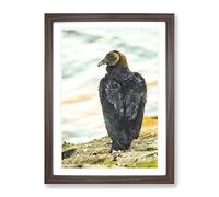 A Watchful Vulture Painting Modern Framed Print | A4 Walnut Framed Wall Art | Ready to Hang | Modern Historical Picture | Living Room Bedroom Lounge Office