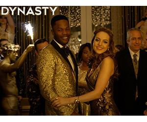 A Well Dressed Tarantula