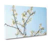 A White Cherry Blossom Tree In Abstract Modern Art Canvas Wall Art Print Ready to Hang, Framed Picture for Living Room Bedroom Home Office Décor, 20x14 Inch (50x35 cm)