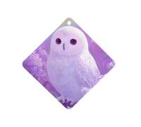 A White Owl And Flowers Car Aromatherapy Tablets