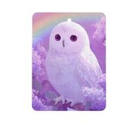 A White Owl And Flowers Car Aromatherapy Tablets