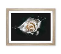 A White Rose Paint Splash Modern Art Framed Print | A2 Oak Framed Wall Art | Ready to Hang | Modern Floral Picture | Living Room Bedroom Lounge Office