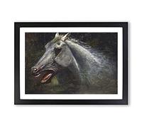 A Wild Stallion by Albert Bierstadt Framed Print | A2 Black Framed Wall Art | Ready to Hang | Modern Animal Picture | Living Room Bedroom Lounge Office