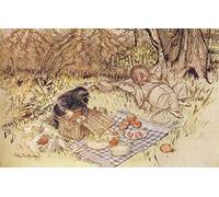 a Wind in the Willows Arthur Rackham The Mole begged as a favour to be allowed to unpack it all by himself A4 Photo Print 10x8