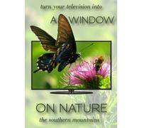 A Window on Nature: The Southern Mountains