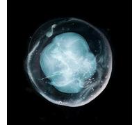 A Winged Victory for the Sullen - The Undivided Five [VINYL]