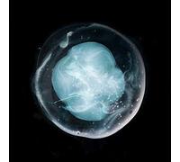 A Winged Victory for Sullen - The Undivided Five