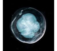 A Winged Victory for Sullen - The Undivided Five (Limited Edt.) [VINYL]