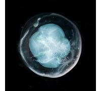 A Winged Victory for the Sullen - The Undivided Five [VINYL]