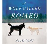 A Wolf Called Romeo
