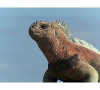 A World Apart / Along the Mekong