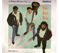 A world without you (Remix) [VINYL]