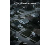 A Year of Small Accidents: The Sleepless Minds Series: Book Four