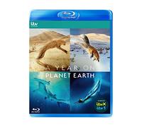 A Year on Planet Earth