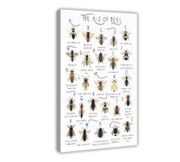 A-Z of Bumble Bees Canvas Poster Bedroom Decor Landscape Office Room Decor Gift 16x24inch(40x60cm)
