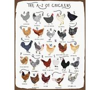 A-Z Of Chickens Poster, Chicken Print, Chicken Breeds Art, Alphabet Poster, Chicken Lover Gift, Chicken Poster, A-Z Of Chicken Breeds Metal Chicken Signs Poster Sign 8x12 inch