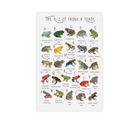 A-Z of Frogs & Toads Canvas Poster Bedroom Decor Landscape Office Room Decor Gift 20x30inch(50x75cm)
