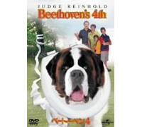 ã“°‰’‹±Žq ƒRƒ‰ƒ{ƒŒ[ƒVƒ‡ƒ“BOX Wish [DVD]