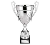 A1 PERSONALISED GIFTS Large Silver Trojan Cups