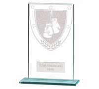 A1 PERSONALISED GIFTS Millennium Boxing Glass Trophies