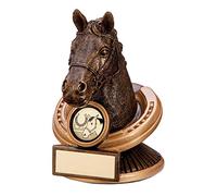 A1 PERSONALISED GIFTS Resin Horses Head Trophies