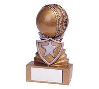 A1 PERSONALISED GIFTS Resin Mini Shield Cricket Ball Trophies