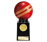 A1 PERSONALISED GIFTS Valiant Legend Red Cricket Ball Trophies