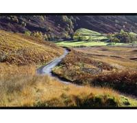 A2 Poster of An autumn view of a gate and winding road through the fern covered hills and (13499363)