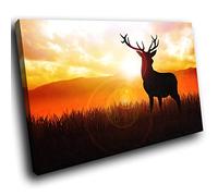 A215 Orange Sunset Stag Red Black Funky Animal Canvas Wall Art Picture Prints