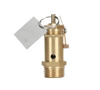 A21W-16T Compressor Safety Valve Safety Pressure Valve Safety Valve for Electric Boiler Steam Generator 1/2(0.6mpa (6 kg))