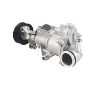 A2702000600 Compatible For Mercedes Benz Coupe CLA200 C117 GLA CLASS X156 GLA200 GLA250 Flex Engine Cooling Electric Water Pump