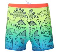 A2Z 4 Kids Boys Girls Swimming Shorts Trunks Quick Dry - SW Shorts 866 Dino Splash 2-3