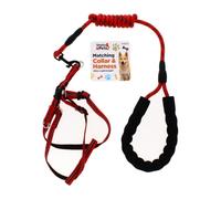 A2Z Dog Collar Harness And Lead Set Reflective Adjustable Walking Set