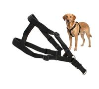 A2Z Padded Dog Harness Adjustable Lightweight Pet Harness 85 x 70 cm | Soft Adjustable Walking Vest For Medium Dogs With Secure Fit Comfortable Padding And Strong Metal Hardware