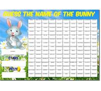 A3 150 Player Guess the name of the Bunny Fundraising Scratchcard Match and Win card