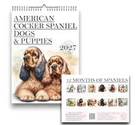 A3 American Cocker Spaniel Wall Calendar 2027, 12 Monthly Pages, Metal Binding with Hook, Handmade, Dog Calendar 2027, Spaniel Dogs, Canines, American Cockers Gifts